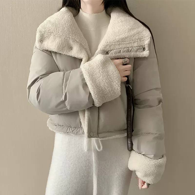 Women's Cropped Teddy Collar Puffer Jacket